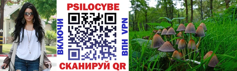 Псилоцибиновые грибы Cubensis  нарко площадка клад  Михайлов 